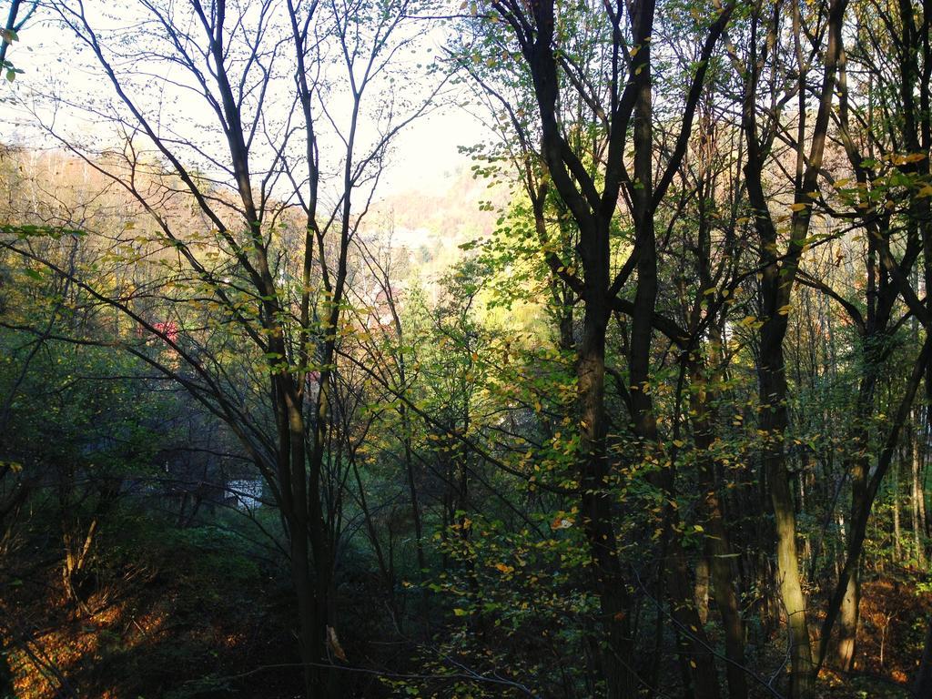 Osrodek Kwaskowa Villa Kazimierz Dolny Bagian luar foto