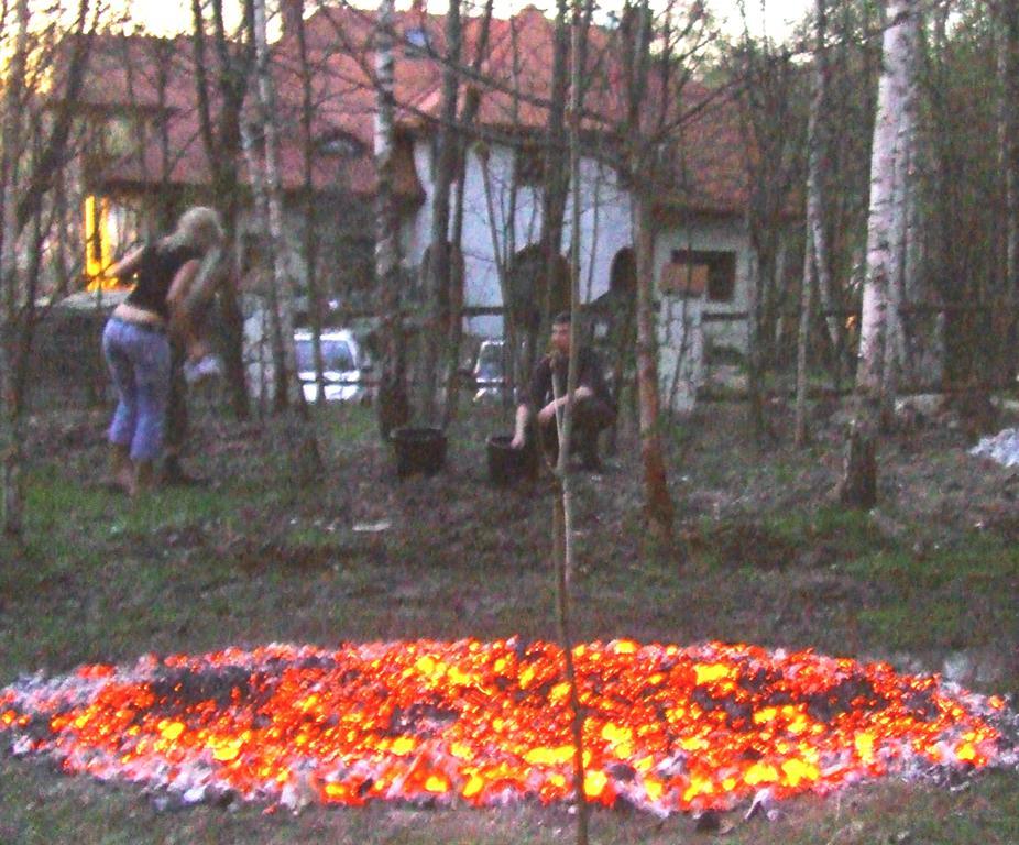 Osrodek Kwaskowa Villa Kazimierz Dolny Bagian luar foto