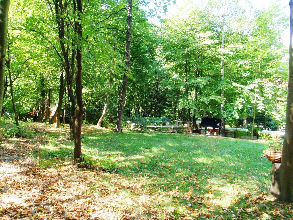 Osrodek Kwaskowa Villa Kazimierz Dolny Bagian luar foto