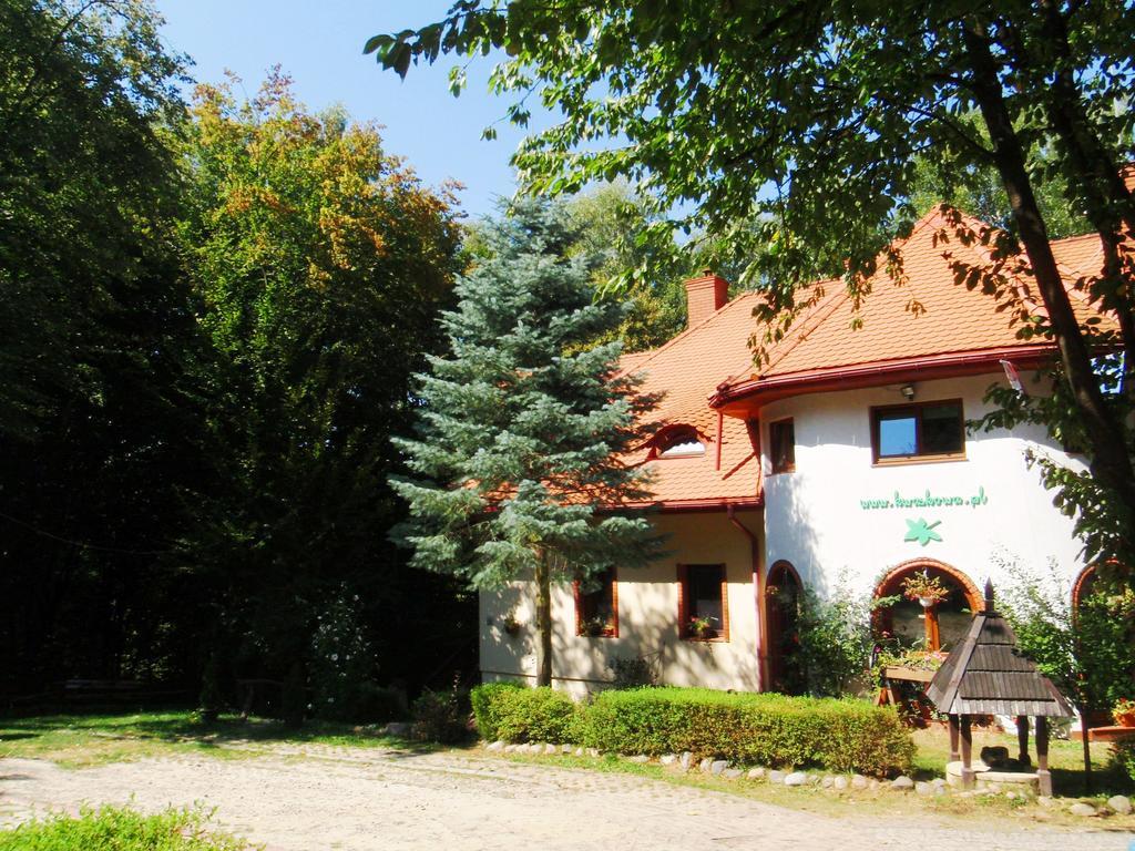 Osrodek Kwaskowa Villa Kazimierz Dolny Bagian luar foto