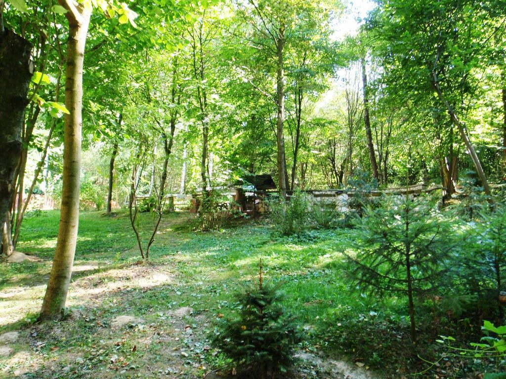 Osrodek Kwaskowa Villa Kazimierz Dolny Bagian luar foto