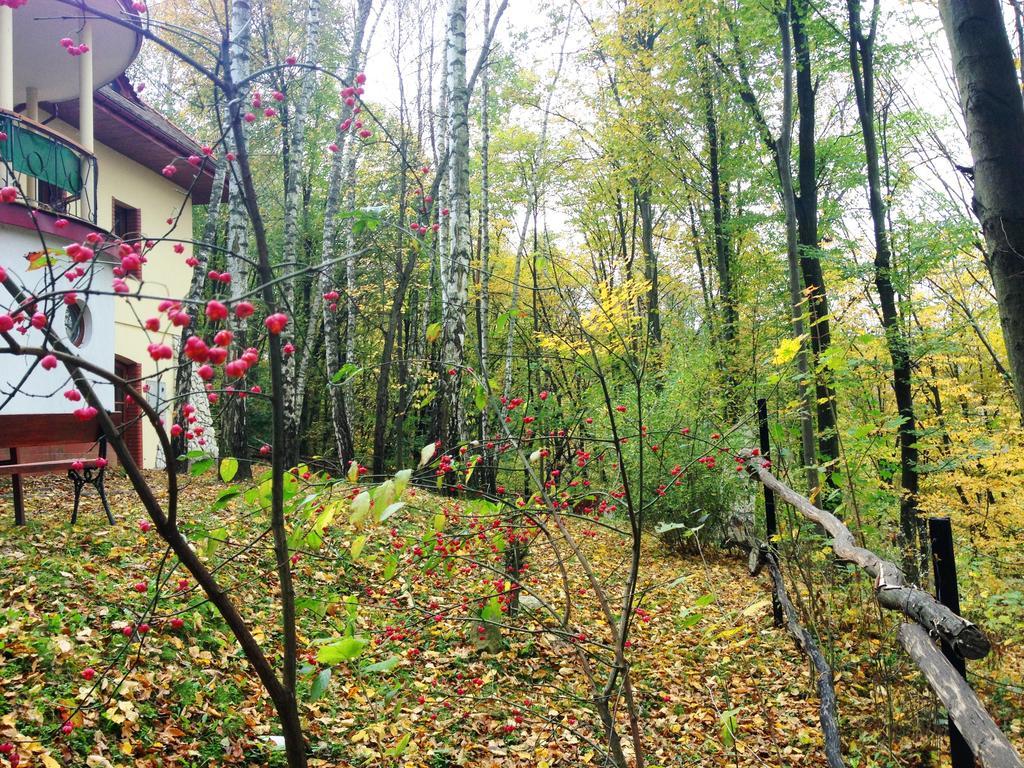 Osrodek Kwaskowa Villa Kazimierz Dolny Bagian luar foto