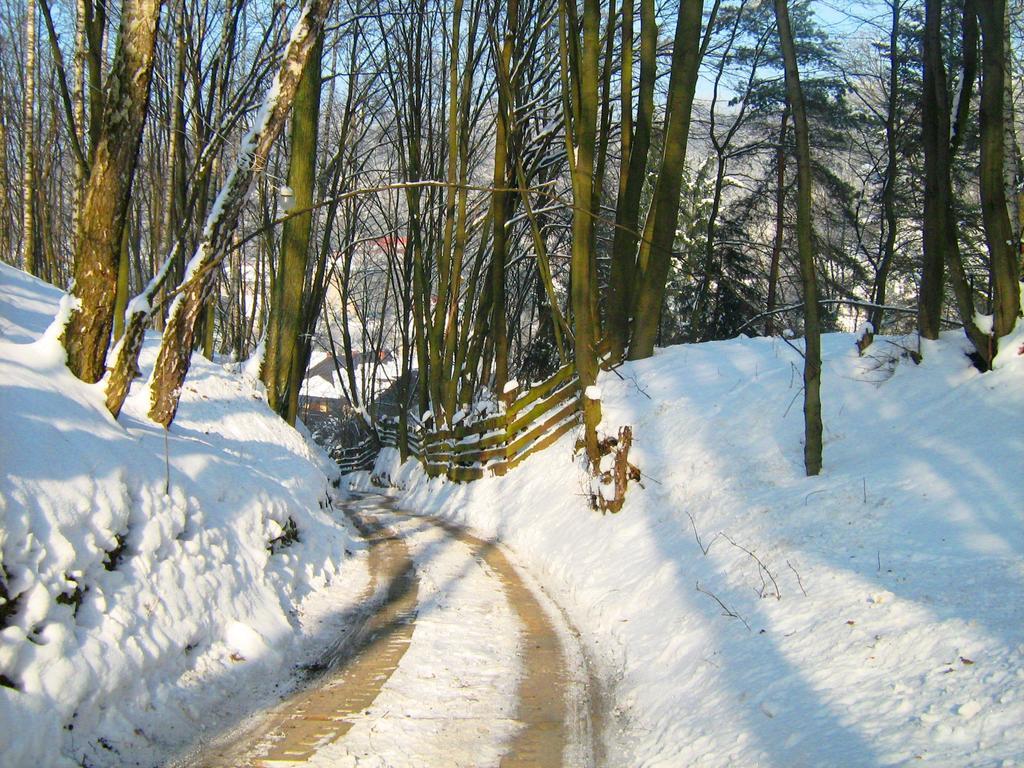 Osrodek Kwaskowa Villa Kazimierz Dolny Bagian luar foto