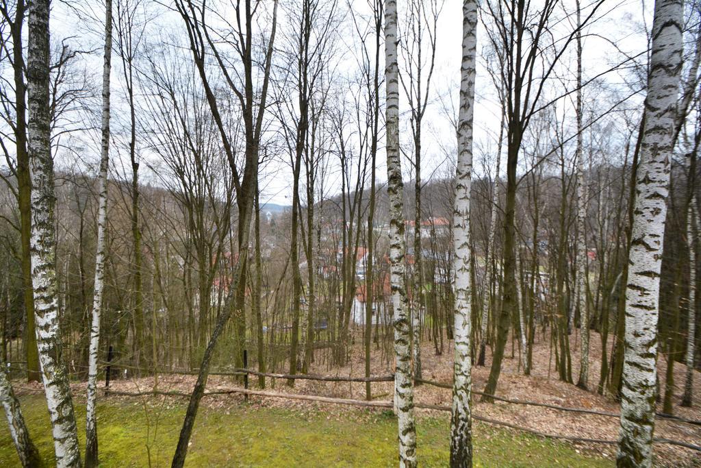 Osrodek Kwaskowa Villa Kazimierz Dolny Bagian luar foto